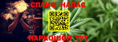 хмурый Краснодар