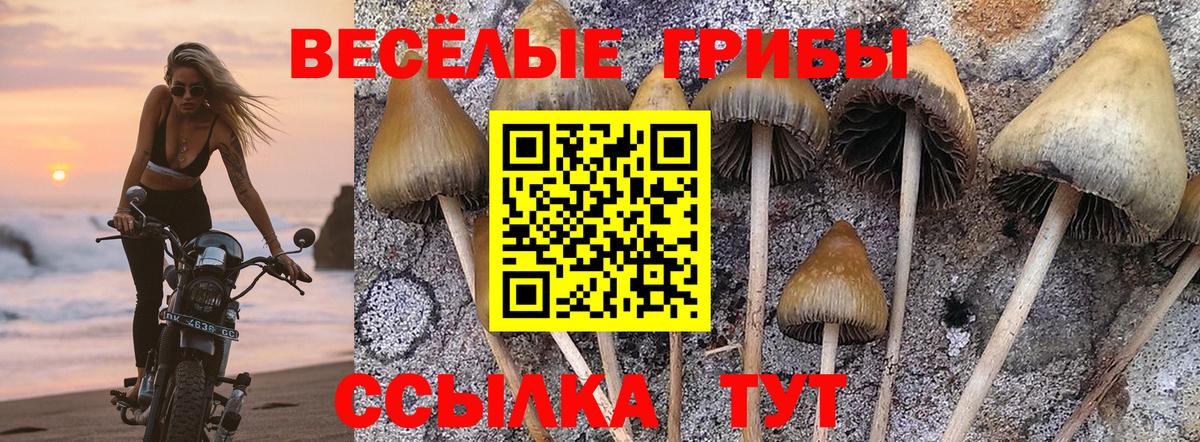 Галлюциногенные грибы мухоморы  Вход с VPN  Псилоцибиновые грибы Cubensis  Котлас 